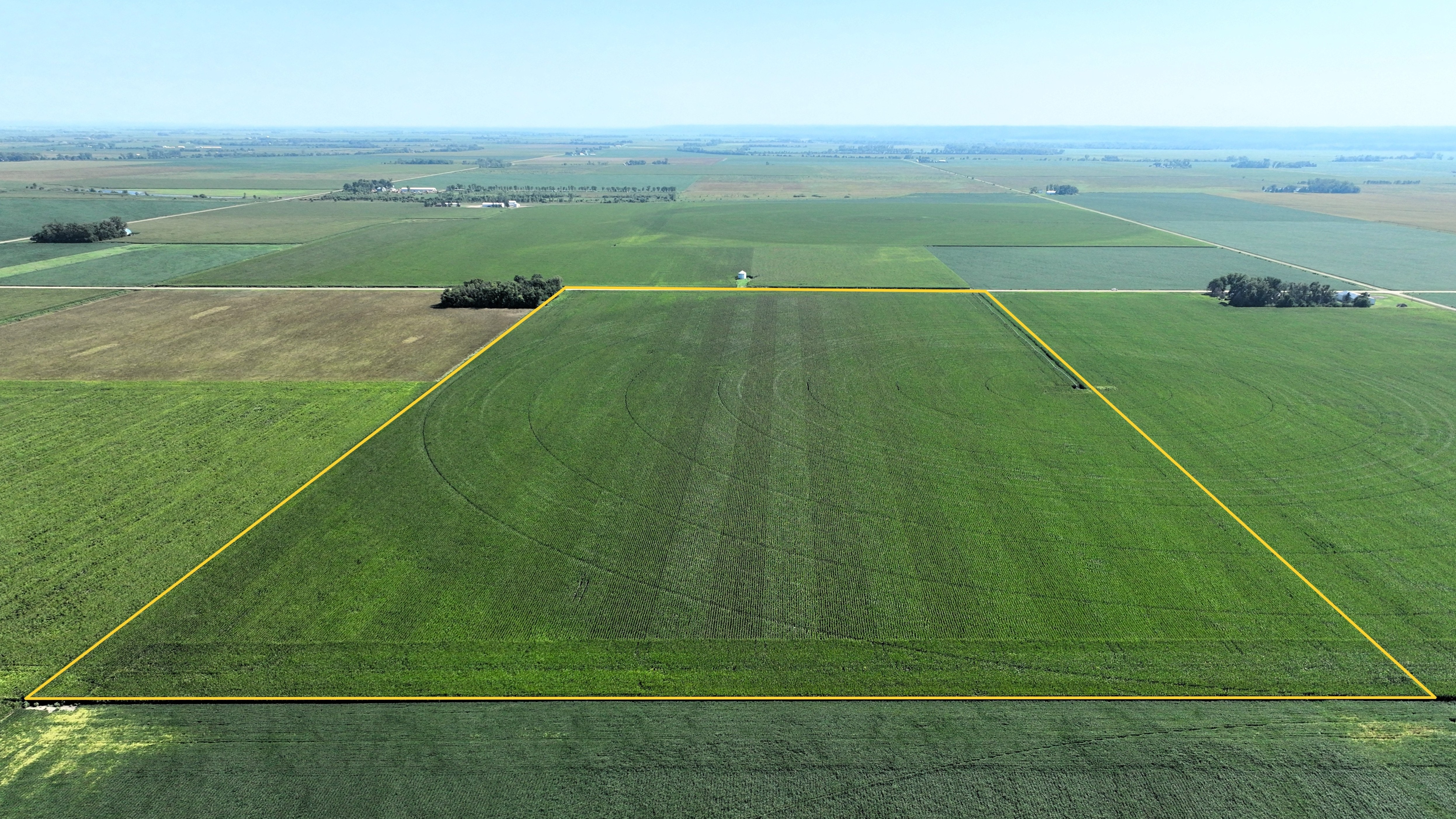 Midwestern Land and Auction Listing